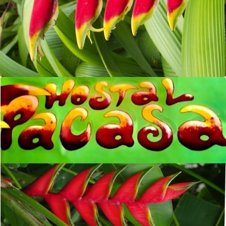 Pacasa Hostel 戴维 外观 照片