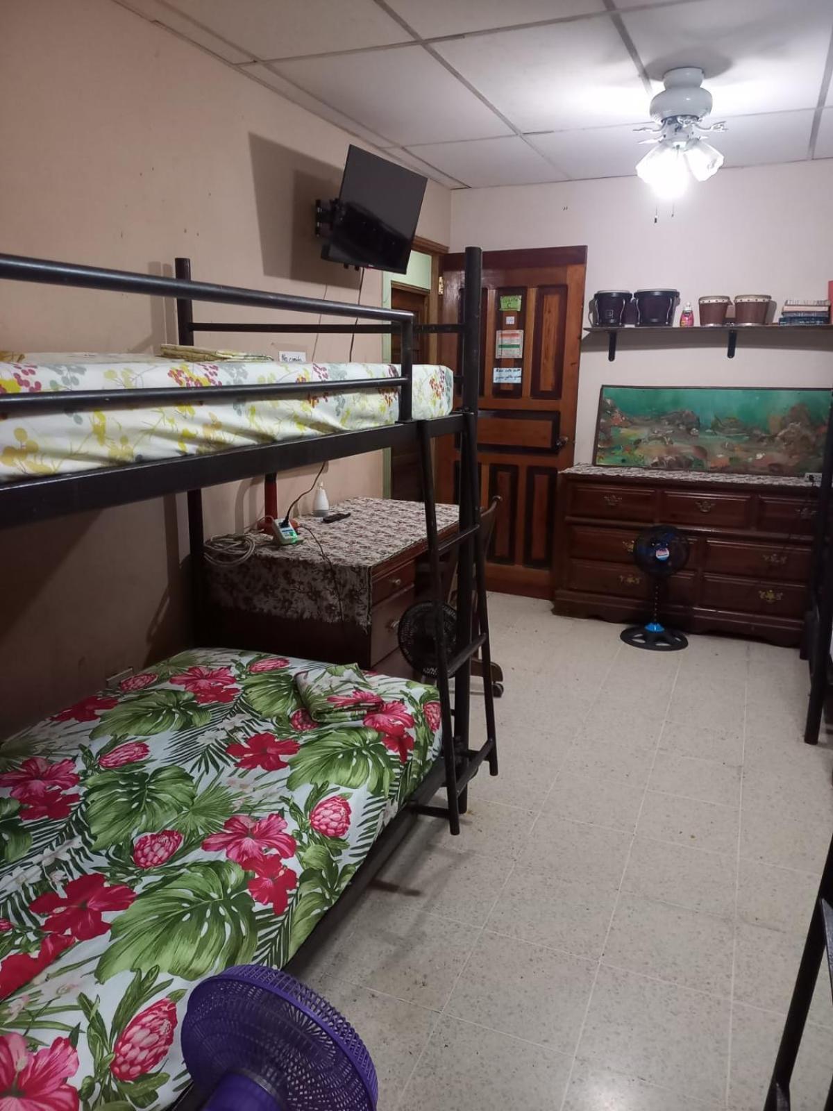 Pacasa Hostel 戴维 外观 照片