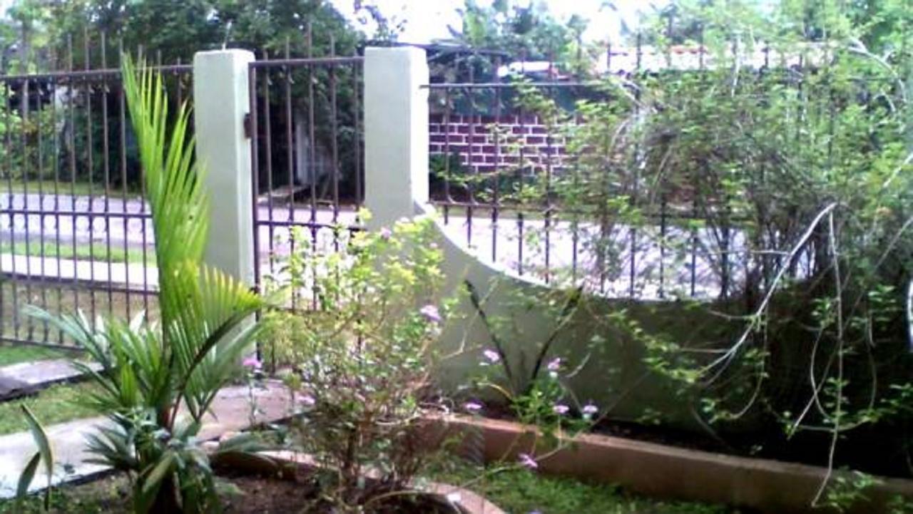 Pacasa Hostel 戴维 外观 照片