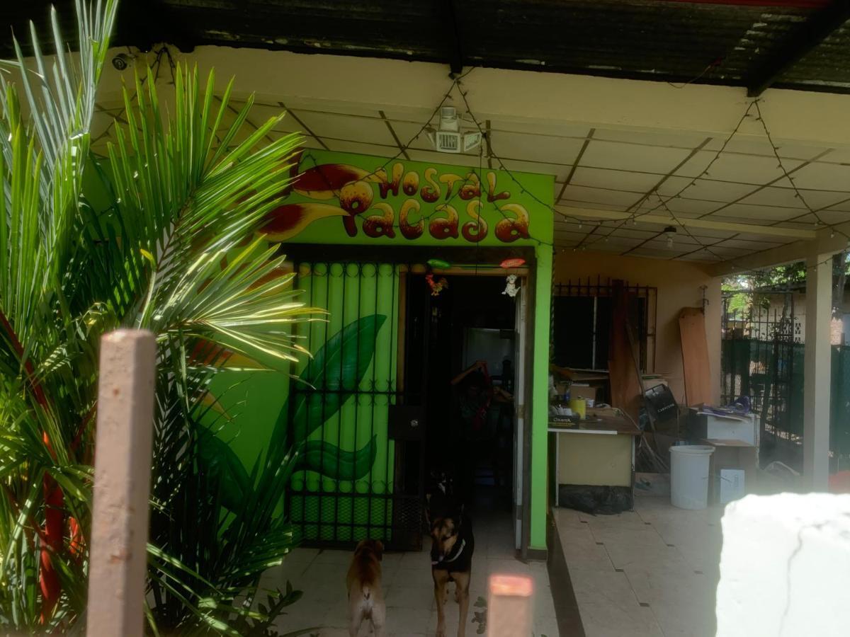 Pacasa Hostel 戴维 外观 照片