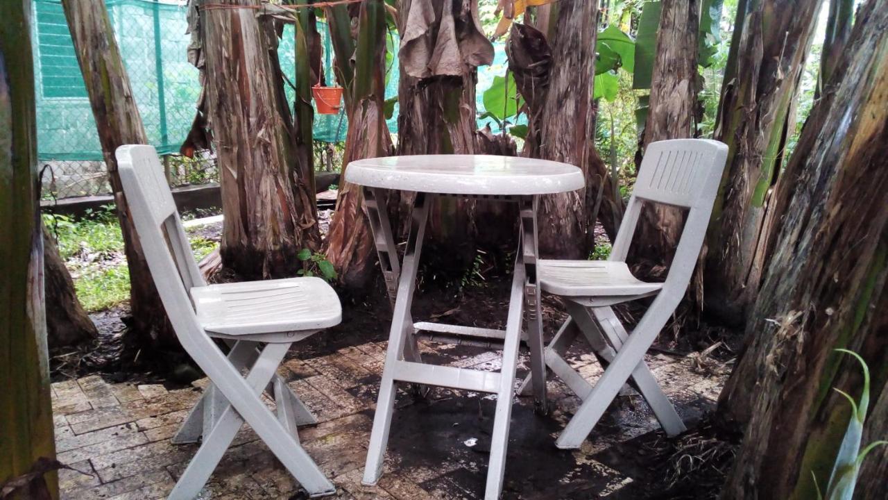 Pacasa Hostel 戴维 外观 照片