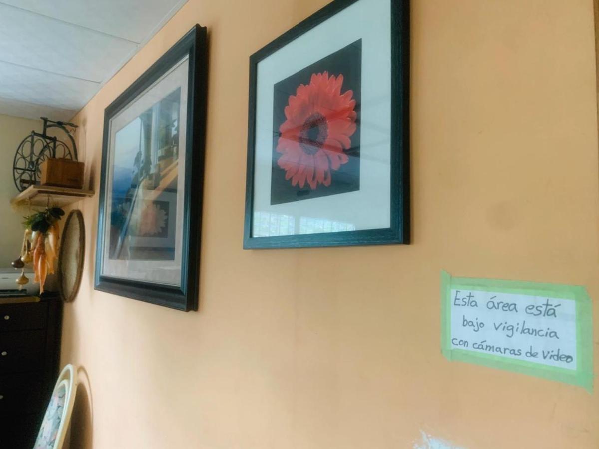 Pacasa Hostel 戴维 外观 照片