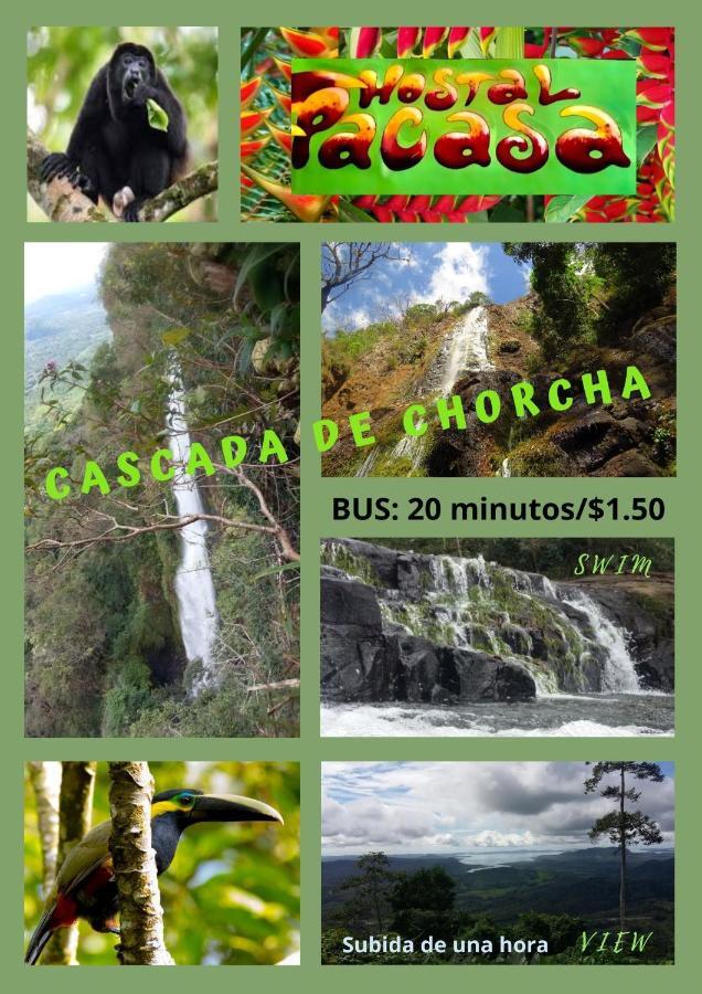Pacasa Hostel 戴维 外观 照片